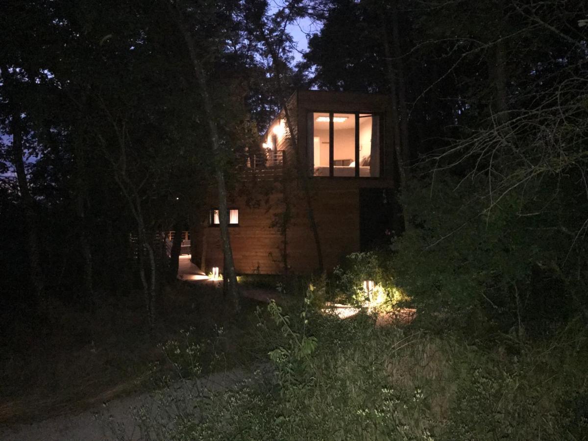 Les Cocons De L'Illon Bed & Breakfast Ville-sur-Illon Exterior photo